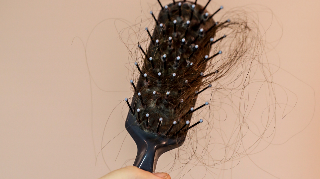 Hair brush with hair