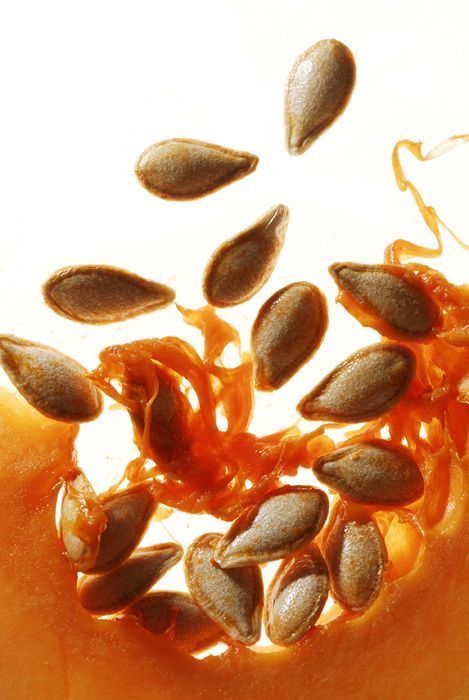 Pumpkin Seed Oil for Hair Loss: The Natural DHT Blocker That Actually Works
