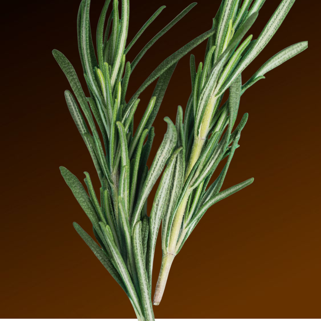 Rosemary