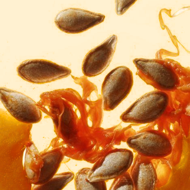 Oil ingredient 3